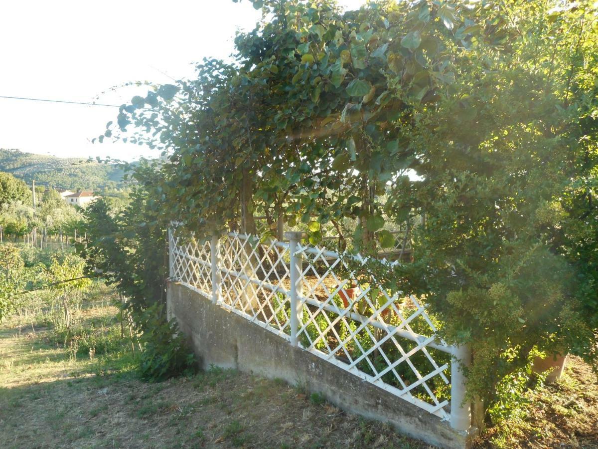 Apartamento Poggio Fiorito Castiglion Fiorentino Exterior foto